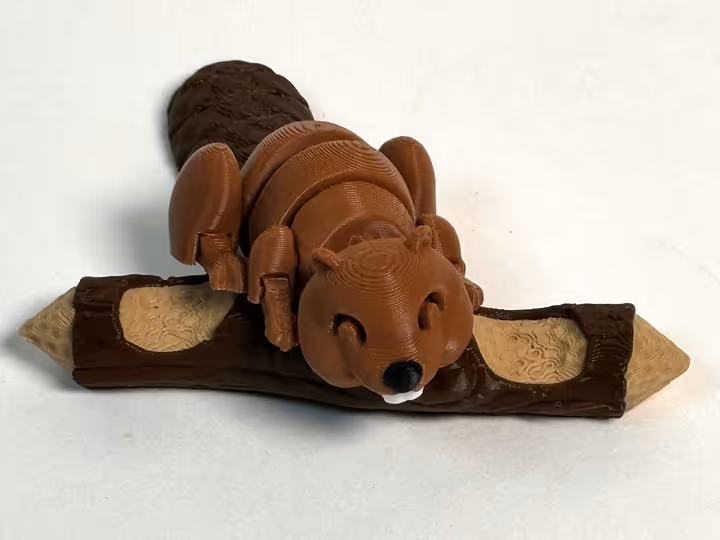 3d model of a beaver.DnmupeGr