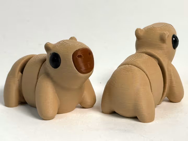 3d model of a capybara.CFM d_SM