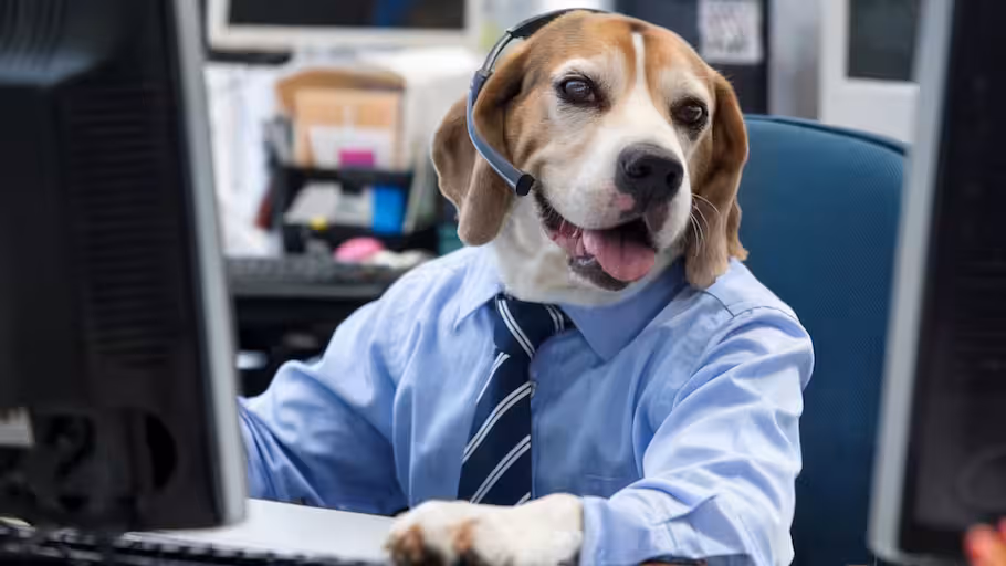 Construction site before and after