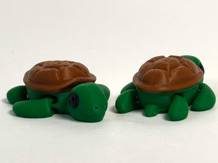 3d model of a turtle.DWBdolH6