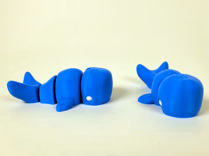 3d model of a whale.W6uIW1Ds